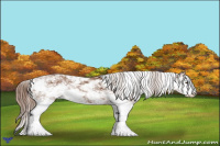 Horse Color:Chestnut Sabino