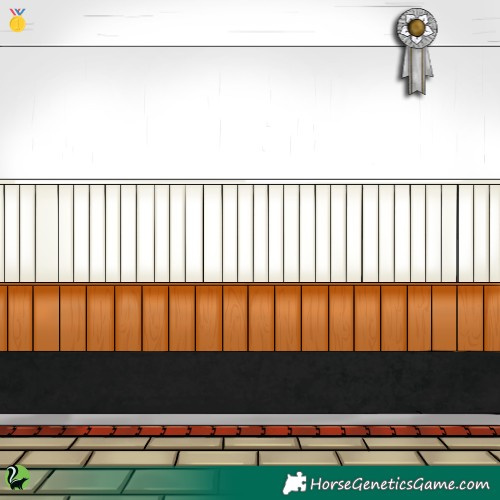 Horse Color:Grullo Splash Appaloosa 