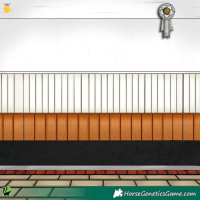 Horse Color:Grullo Splash Appaloosa 