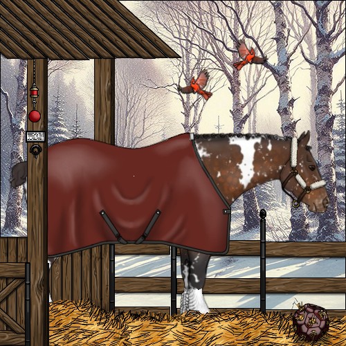 Horse Color:White Spotted Buckskin Appaloosa 