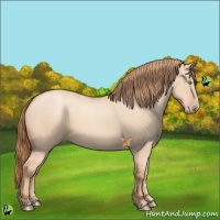 Horse Color:Gold Champagne Dun 