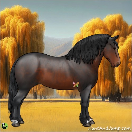 Horse Color:Brown 