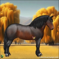 Horse Color:Brown 