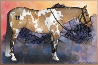 Horse Color:White Spotted Buckskin Dun 