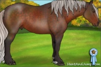 Horse Color:Silver Brown Rabicano
