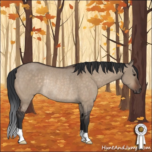 Horse Color:Brown Dun Rabicano 