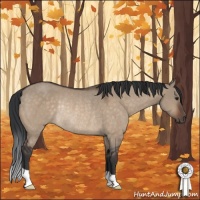 Horse Color:Brown Dun Rabicano