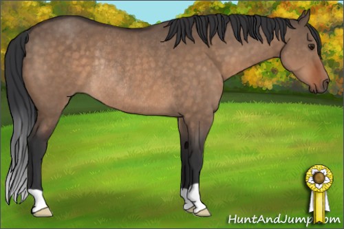 Horse Color:Brown Dun Rabicano 