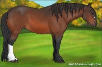 Horse Color:Brown 