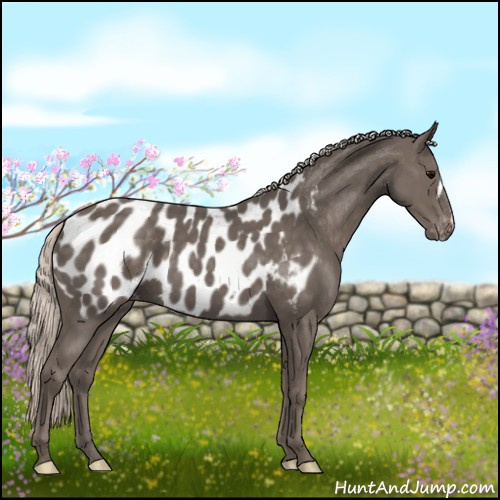 Horse Color:Silver Black Blanket 