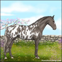 Horse Color:Silver Black Blanket 