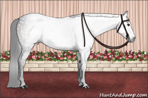 Horse Color:Gray Platinum Brown Dun 