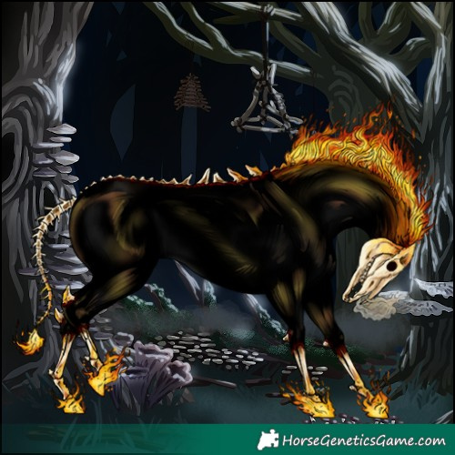 Horse Color:Void White Spotted Bay Dun Splash Appaloosa 