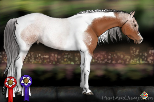Horse Color:Brown Tobiano 