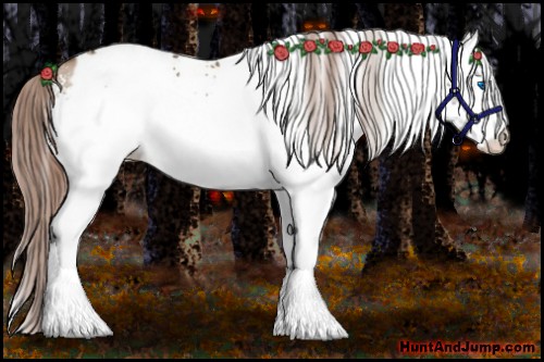 Horse Color:White Spotted Liver Red Dun Splash Appaloosa