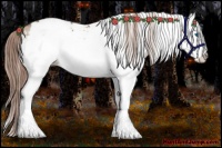 Horse Color:White Spotted Liver Red Dun Splash Appaloosa