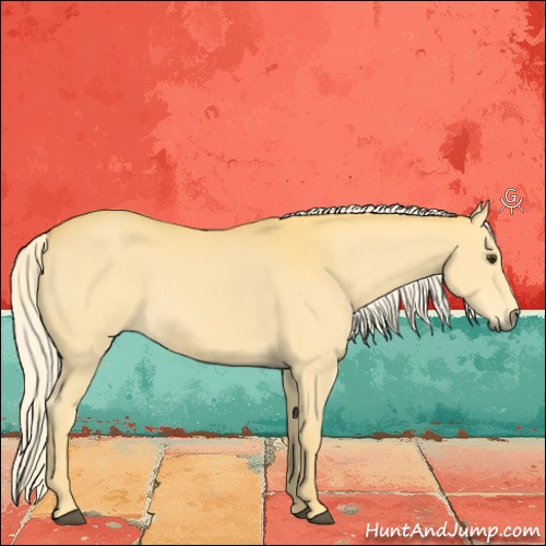 Horse Color:Palomino