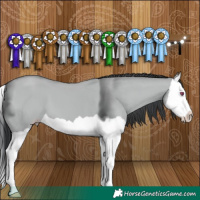 Horse Color:Classic Champagne Chinchilla Dun Splash 