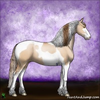 Horse Color:Brown Pearl Dun Sabino Tobiano 