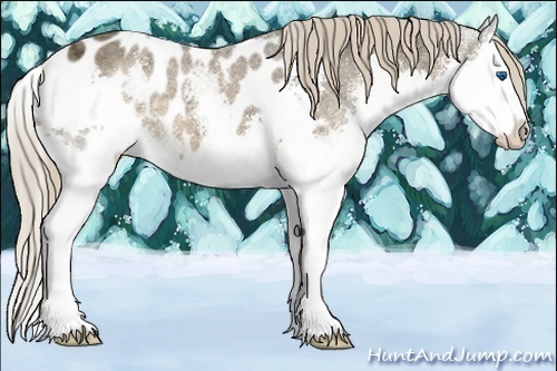 Horse Color:Chocolate Palomino Ice Sabino Splash Appaloosa 