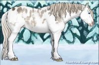 Horse Color:Chocolate Palomino Ice Sabino Splash Blanket 