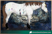 Horse Color:Brown Ice Roan Pearl Sabino 