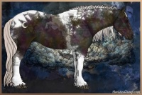 Horse Color:Midnight Silver Black Ice Sabino Tobiano 