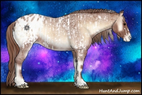 Horse Color:Silver Bay Roan Onyx Frame Appaloosa and Red Onyx Roan Appaloosa