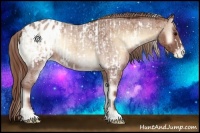 Horse Color:Silver Bay Roan Onyx Frame Near Fewspot  and Red Onyx Roan Blanket 