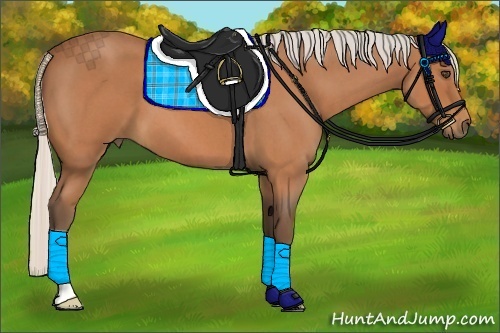 Horse Color:Silver Bay Roan