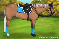 Horse Color:Silver Bay Roan