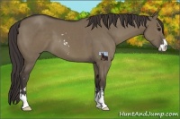 Horse Color:Smoky Grullo Sabino 