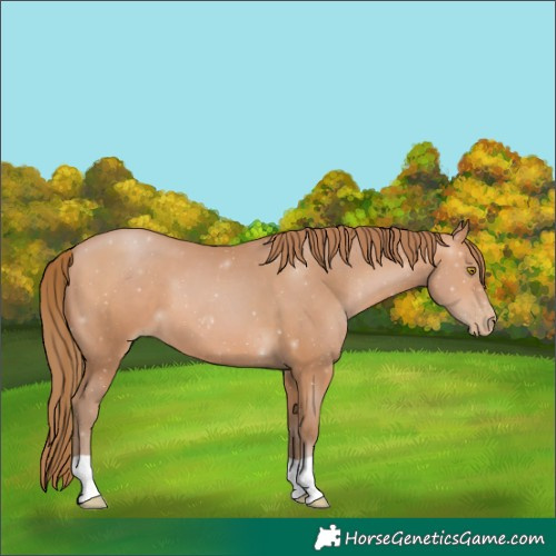 Horse Color:Brown Pearl 
