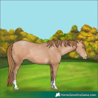 Horse Color:Brown Pearl 