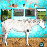 Horse Color:Brown Pearl Dun Sabino 