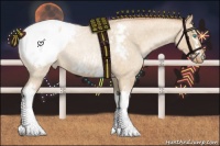 Horse Color:Painted White Spotted Silver Buckskin Roan Pearl Dun Snowcap
