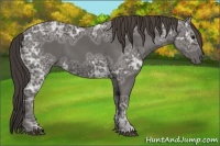 Horse Color:Smoky Black Ice 