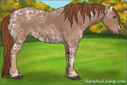 Horse Color:Chestnut Ice 
