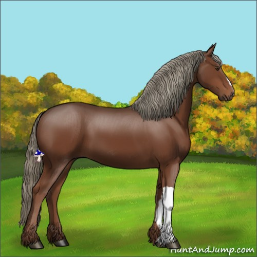 Horse Color:Liver Chestnut