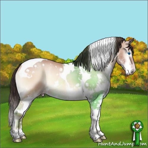 Horse Color:Sable Champagne Onyx Splash Tobiano 