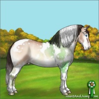 Horse Color:Sable Champagne Onyx Splash Tobiano
