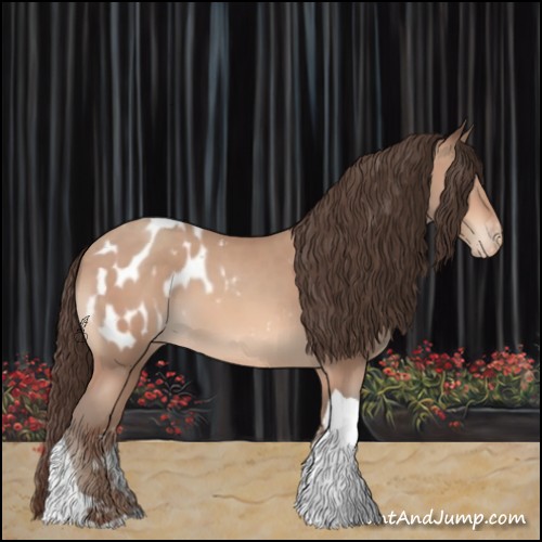 Horse Color:Amber Champagne Tobiano Appaloosa 