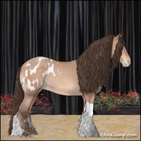 Horse Color:Amber Champagne Tobiano Appaloosa 