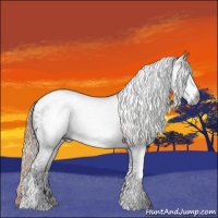 Horse Color:Gray White Spotted Liver Chestnut Snowcap 