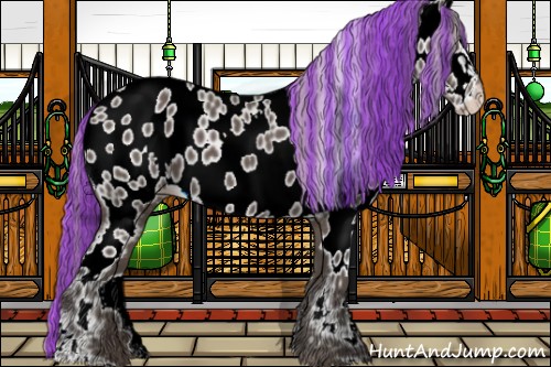 Horse Color:Painted Silver Black Sabino Near Leopard