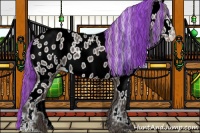 Horse Color:Painted Silver Black Sabino Appaloosa 