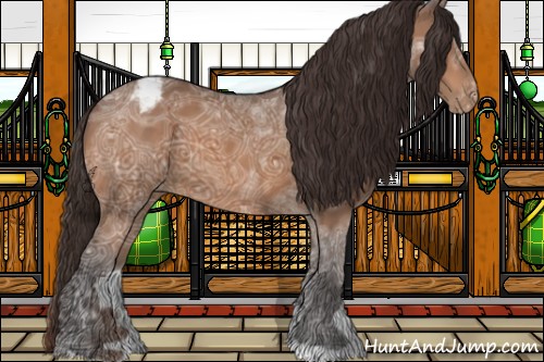 Horse Color:Buckskin Ice Varnish
