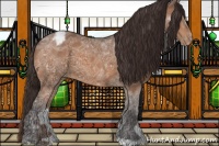 Horse Color:Buckskin Ice Varnish 
