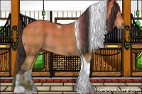 Horse Color:Plaid Buckskin Tobiano Rabicano