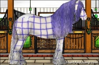 Horse Color:Plaid Perlino Tobiano Appaloosa